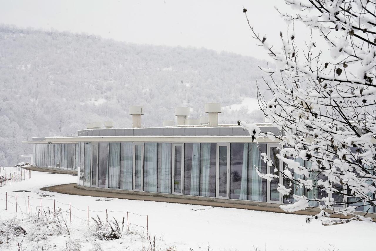Concept Hotel By Coaf Debed Extérieur photo